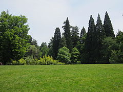 Laurelhurst Park (2012)