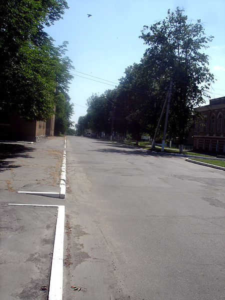 File:Lesi Ukrainky Street, Hadiach.JPG