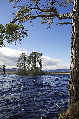 <span class="mw-page-title-main">Loch Garten</span> Loch in Scottish Highlands, Scotland