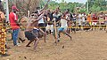 Lutte traditionnelle à Zagouiné 19