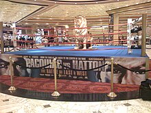 The pre-fight ring for Hatton vs. Pacquiao. This was built up in the foyer of the MGM. MGM Pacquiao vs. Hatton pre-fight ring.jpg