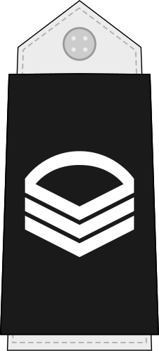 File:Maldives-Navy-OR-6.svg