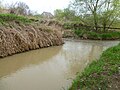 El río Mamaika desemboca en el Mutnyanka