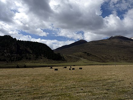 Manigango Countryside