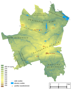 Katowice: Położenie, Środowisko naturalne, Nazwa