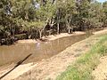 Marshalls Creek will floodwaters from the Murrumbidgee River.
