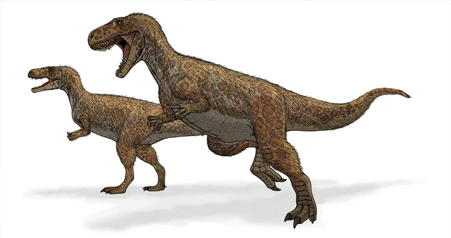 Megalosaurus bucklandii - Wikipedia, la enciclopedia libre