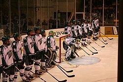 Michigan State Spartans men's ice hockey team in 2008 MichiganState hockey 2008.jpg