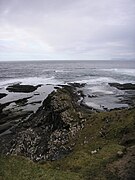 Monoclinal formado en la punta de una pequeña falla de empuje, Brims Ness, Caithness, Escocia
