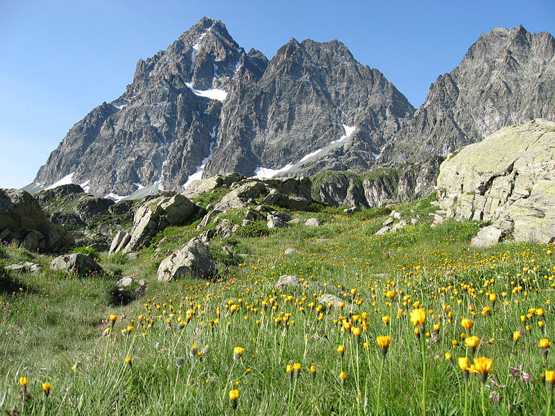 File:Monte Viso viewed from North.jpg