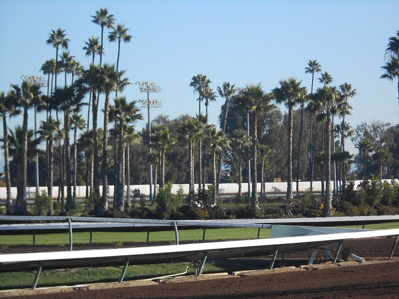 File:Morning at Los Alamitos Dec 2016 16.jpg