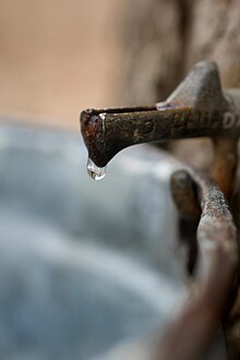 A spigot (or "spile") extracting syrup from a maple tree. Mother Nature's candy (8549560048).jpg