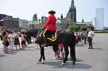 Royal Canadian Mounted Police in Ottawa Mountie@parliamentOttawa.jpg