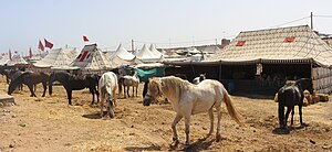 Moussem moulay abdellah - Moulay Abdallah Amghar commune 14.jpg