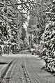 Access road near Murdo Frazer Park.