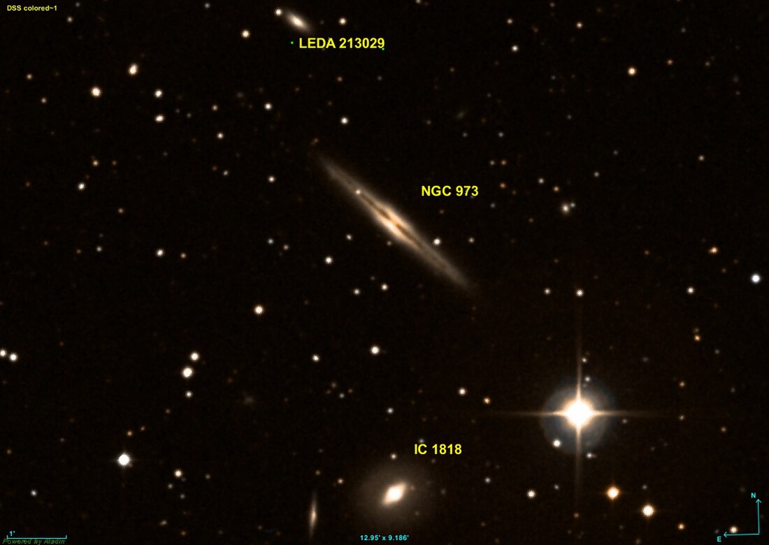 NGC 973