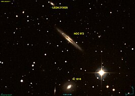 NGC 973