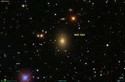 NGC 1224 SDSS.jpg