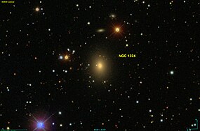 NGC 1224 SDSS.jpg
