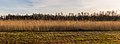 * Nomination De Weerribben-Wieden National Park. Swampy reed land. Famberhorst 16:24, 8 January 2015 (UTC) * Promotion  Support Good quality. --C messier 14:06, 16 January 2015 (UTC)