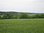 Fürstenhagen Nature Park Center.jpg