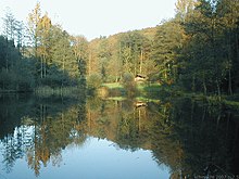 Der Waldsee bei Neckargerach