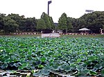 Miniatura para Jardín botánico Nagai