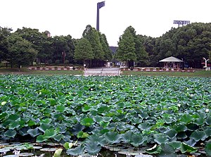 大阪市立長居植物園 Wikipedia