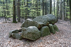 Niedersachsen, Lamstedt, im Naturschutzgebiet NIK 2754.JPG