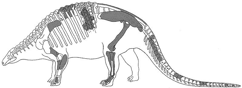 File:Nodosaurus textilis.jpg