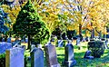 Oakland Cemetery gravestones.jpg
