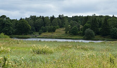 Oberer Teich Stiege