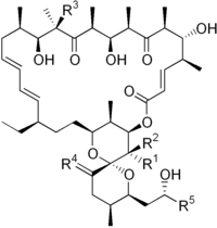 Oligomitsinlar.png