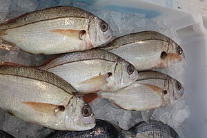 Red bream on sale in a market in Pontevedra.