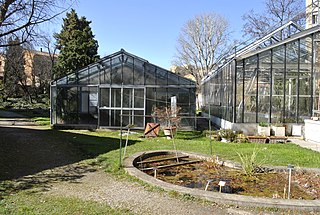 <span class="mw-page-title-main">Orto Botanico dell'Università di Bologna</span> Botanical garden in Bologna, Italy