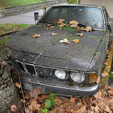 A mossy BMW 735i (E23) in Vernier GE, Switzerland