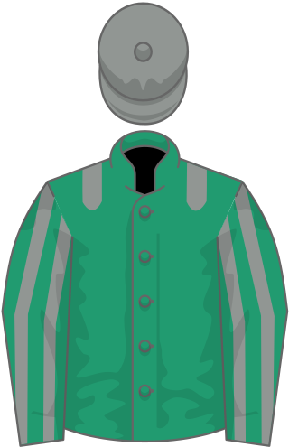 <span class="mw-page-title-main">King of Change</span> Racehorse trained in Britain