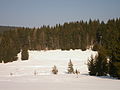 Čeština: Přírodní památka Obidová v zimě