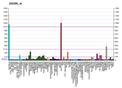 PBB GE CHI3L1 209395 в формате fs.png