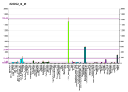 PBB GE GCLC 202923 s в формате fs.png