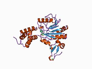 PDB 1bc5 EBI.jpg