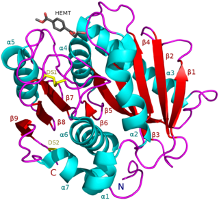 <span class="mw-page-title-main">PETase</span> Class of enzymes