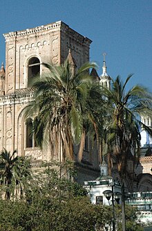 Parajubaea cocoides next to the cathedral, at Cuenca, Ecuador. Parajubaea cocoides in front of the Cuenca New Cathedral.jpg