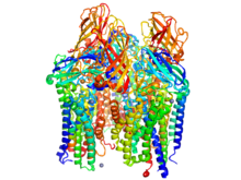 Structure of pMMO Particulate Methane Monoxygenase.png