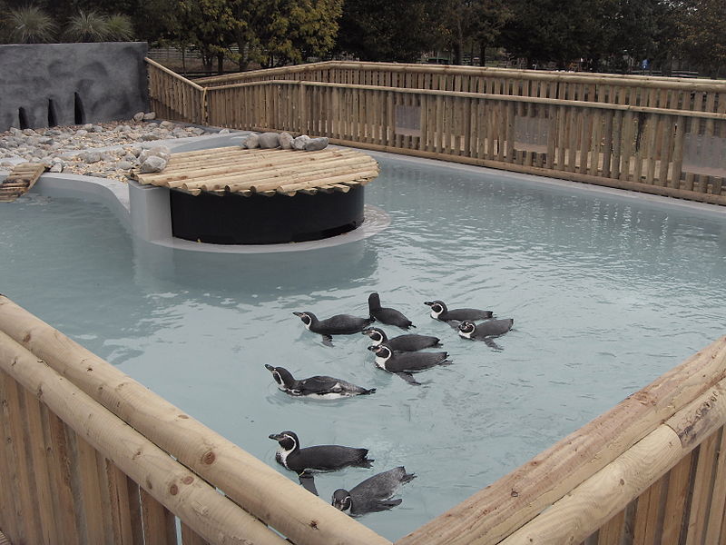 File:Penguin enclosure.JPG