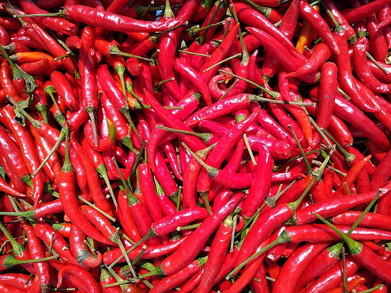 File:Peppers in Vientiane.jpg