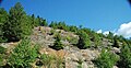 Phyllite (Anakeesta Formation, Neoproterozoic; Newfound Gap, Great Smoky Mountains, North Carolina, USA) 8 (36859925362).jpg