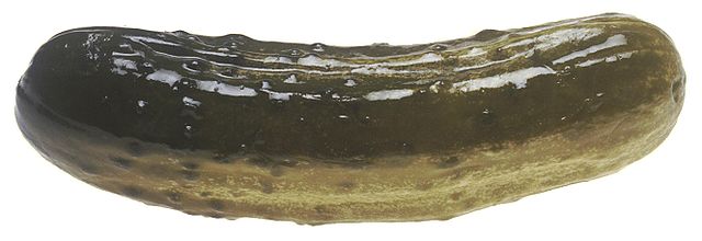 https://upload.wikimedia.org/wikipedia/commons/thumb/b/bb/Pickle.jpg/640px-Pickle.jpg