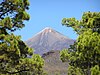 Pico el Teide.jpg