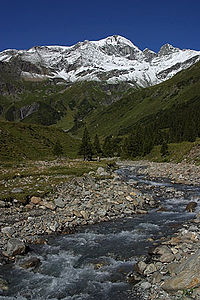 Picswiss SG-36-05. jpg 